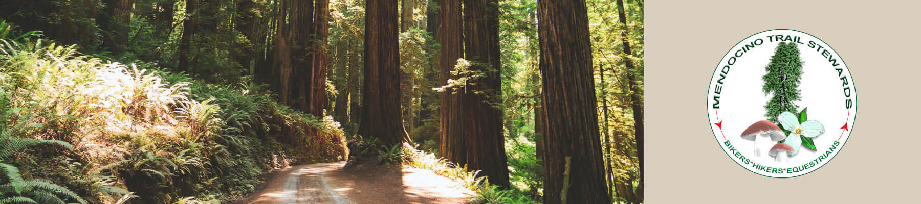 Mendocino Trail Stewards